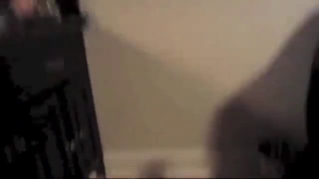 Такого ты ещё не видел!!! Приколы с котами!!! ))) смотреть онлайн