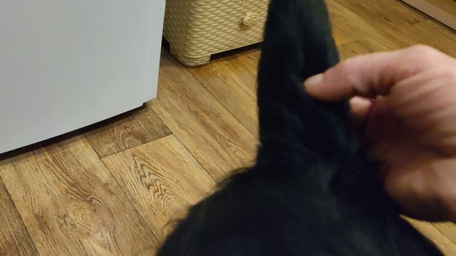 Скоро Гердочка покинет свое жилище и поедит в Уфу.