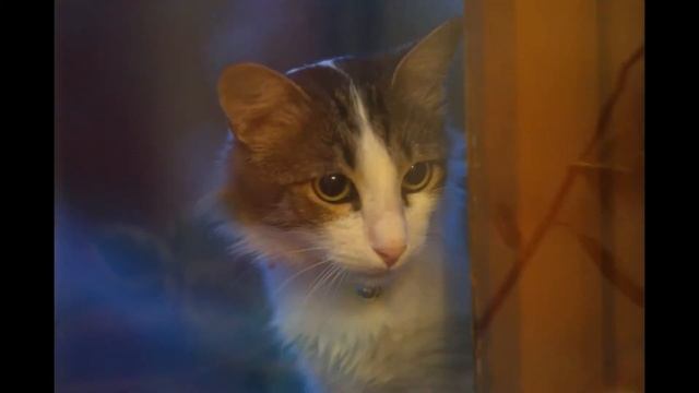 Фотоснимки на SONY NEX-3. Тестовые фото смотреть онлайн