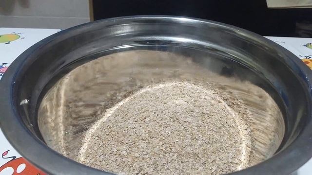 Музыкальные Перформансы и Импровизации