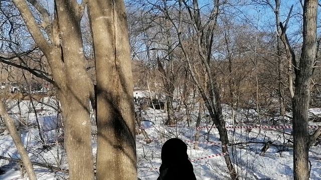 Ежегодный фестиваль. День мужика смотреть онлайн