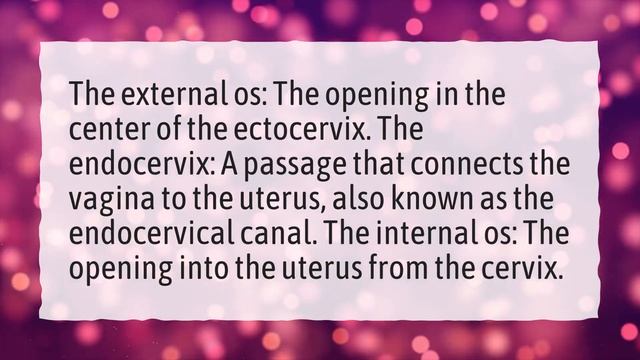 When does internal OS Open in pregnancy? смотреть онлайн