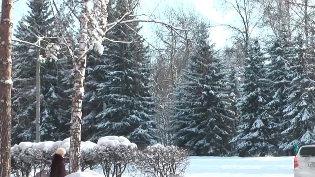 Зимняя прогулка по Академгородку смотреть онлайн