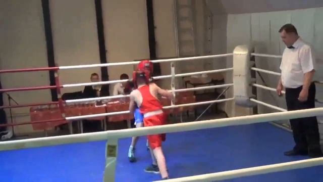Турнир по боксу памяти Потёмкина С Н 24.04.2016 г. смотреть онлайн