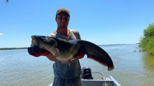 Лучшая рыбалка на Сома и Сазана вдали от цивилизации!