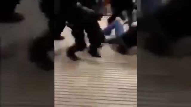 Во Франции французкий спецназ турецких серых волков превращают серых тузиков...)) смотреть онлайн