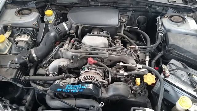 EJ203 C547561 смотреть онлайн