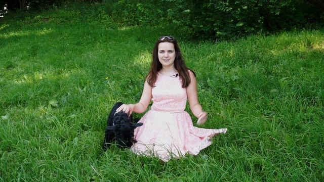 Обзор на Измайловский парк // Куда сходить в Москве с собакой смотреть онлайн