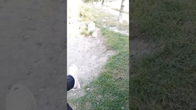 Прогулка Крым Неаполис смотреть онлайн