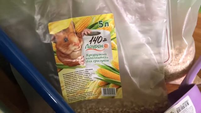 Мой хомяк 🐹/Вещи моего хомяка💜/У моего хомяка два дома?🤩🤨 смотреть онлайн