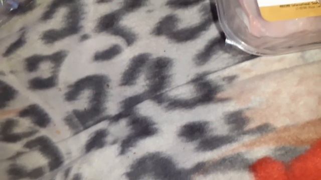 КАК ДЕЛАТЬ ДОМАШНЕЕ МАСЛО?ЧТО КУПИЛИ В ГОРОДЕ?? смотреть онлайн