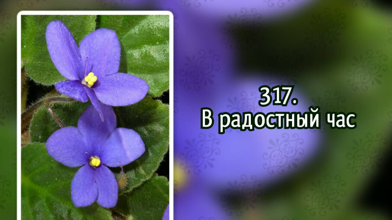 Гимны надежды 317 В радостный час (-) смотреть онлайн