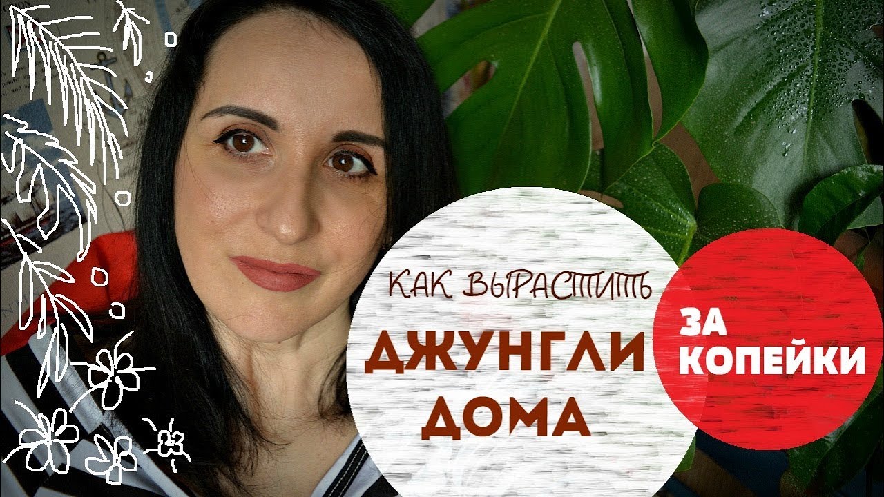 Комнатные растения. С чего начать_ Семена, отростки, горшки, земля, удобрения. смотреть онлайн