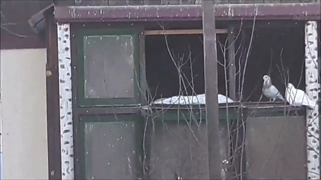 Зимнее утро (А.С. Пушкин) смотреть онлайн
