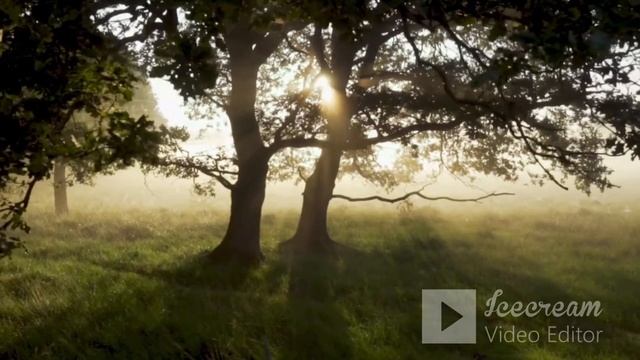 Nature Sounds. Music For Yoga | Meditation | Relaxation. Музыка для йоги | медитации | релаксации