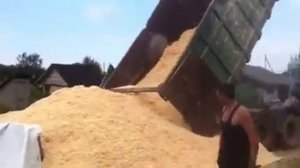 Опилки. Доставка, покупка и продажа опилок