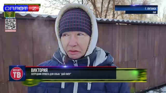 Помощь приюту для животных от военнослужащих России смотреть онлайн