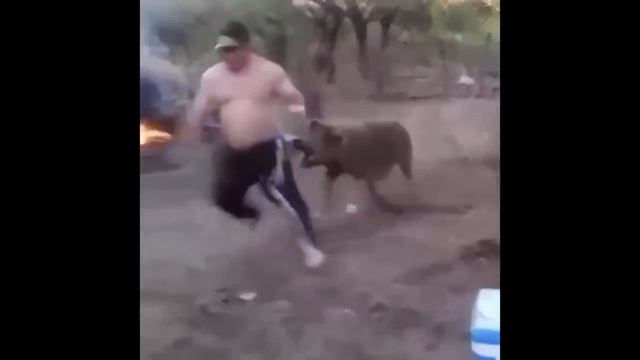 Лучшие Приколы!!! Подборка приколов 2016 смотреть онлайн