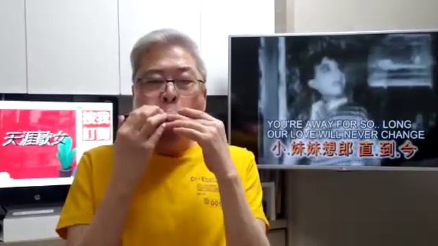 天涯歌女(口琴伴奏卡拉OK) Michael Gor смотреть онлайн