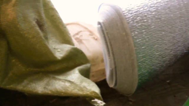 Маленькие Кролики растут смотреть онлайн