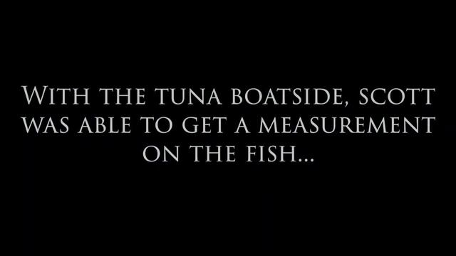Bluefin Tuna Fishing at Prince Edward Island: Scott Bruce Charters смотреть онлайн