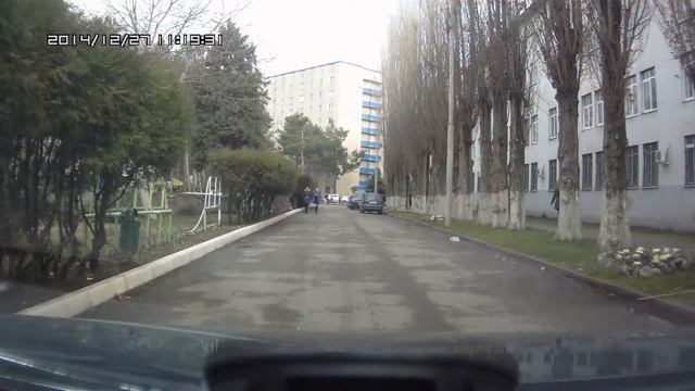 Белочка перебежала дорогу 27 12 2014