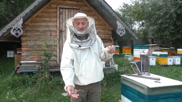 август. МЁДА МАЛО МНОГО РАСПЛОДА смотреть онлайн