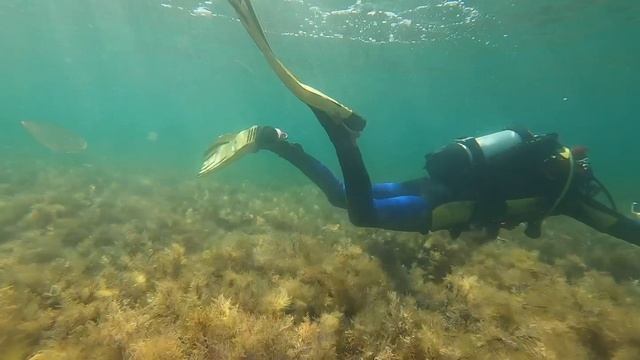 Подводный мир