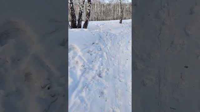 Наслаждайтесь жизнью! И пусть у вас всё будет хорошо!❤️ Зимний лес - Релакс! смотреть онлайн