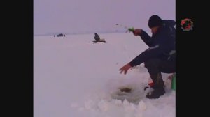 23-ТАРАНЬ. Рыбалка. Ловля тарани на Ейском лимане, Подлёдный лов. Насадка- манка подкрашенная