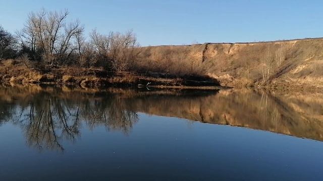 Хоперский заповедник: Воронежцы в нерабочие дни устремились за город смотреть онлайн