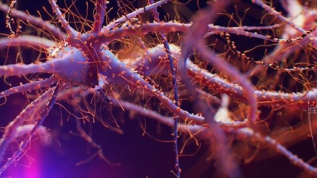 Эти 7 продуктов моментально растворят ТРОМБЫ в сосудах #здоровье #полезныесоветы  #тромбоз #тромб