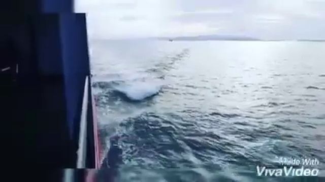 Улетели из Тайланда ? надеюсь вернемся еще ?? я влюблена в Тайланд ?❤ смотреть онлайн