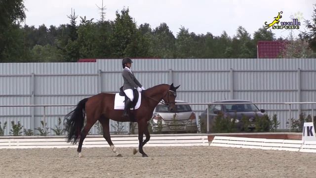 Соревнования по выездке для молодых лошадей. Начало пути. смотреть онлайн