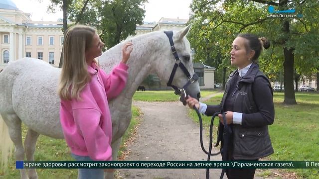 В Сад Академии художеств вернулись лошади-натурщицы смотреть онлайн