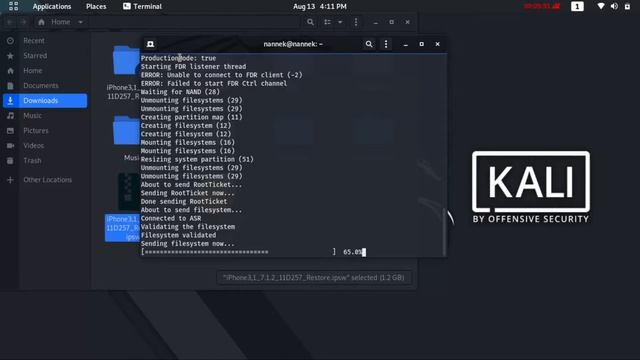 How to flash Firmware on any IPhone IPad using idevicerestore on kali linux смотреть онлайн