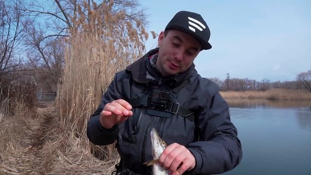 Как ловить весеннего окуня на реке? Выбор места и техника ловли окуня весной. Favorite Blue Bird 68 смотреть онлайн