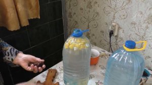 Делаем квас из берёзового сока Два варианта