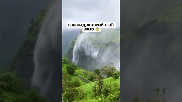 VID-20240116-WA0015.mp4 смотреть онлайн