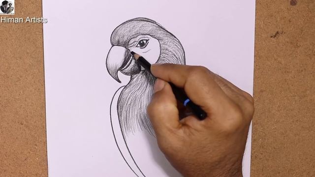Pencil sketch and shading Macaw bird | Charcoal pencil drawing a Macaw bird step by step | Art vide смотреть онлайн