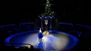 АМАЗОНКИ ВАЛЕНТИНА КУЛЬКОВА. AMAZONS. ДОНЕЦК 2017-2018