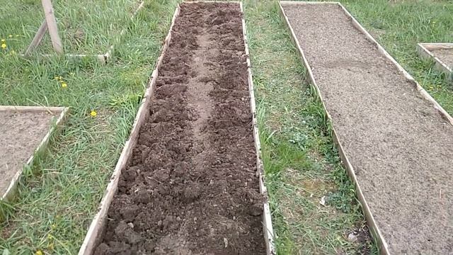 Посадка картофеля. Разные способы для получения большого урожая. смотреть онлайн