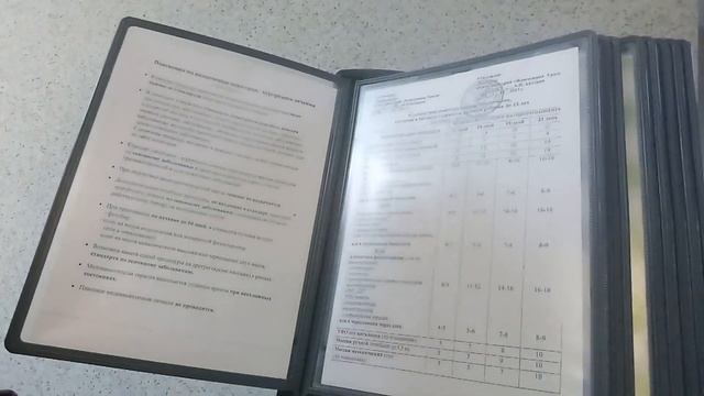 Обзор в санатории "Жемчужина Урала" г. Миасс озеро Тургояк ( 1) смотреть онлайн