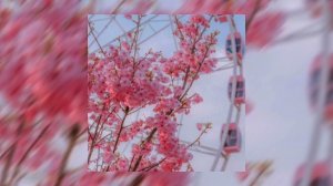 Татьяна Буланова - мой ненаглядный [Speed Up]