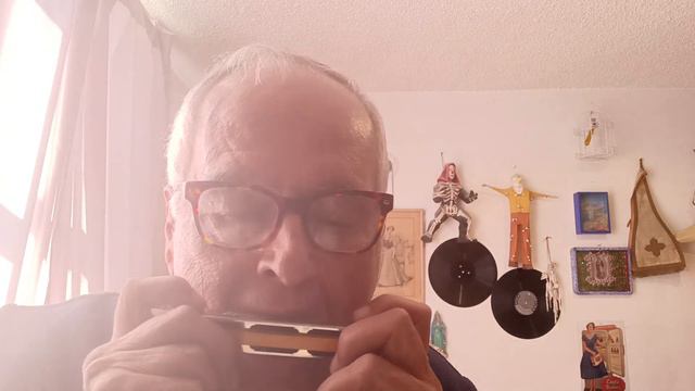 El tren, son. Armónica FR. Hotz (La india bonita) en afinación Fa. смотреть онлайн