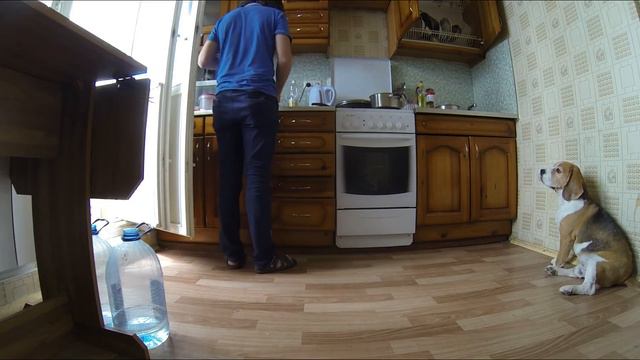 Бигль. Чивас в санатории "Каменная горка". Часть 2 смотреть онлайн