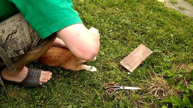 Руководство к Креативности