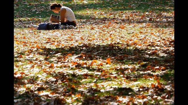 AUTUMN LEAVES (Johnny Mercer & Joseph Kosma) смотреть онлайн