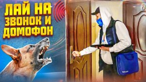 Лай на звонок и домофон(один из способов, как отучить реагировать)