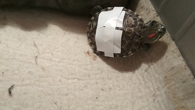 Замутил Пашке веревочную лестницу ) отработки приема разбития лобового стекла в прыжке.. смотреть онлайн